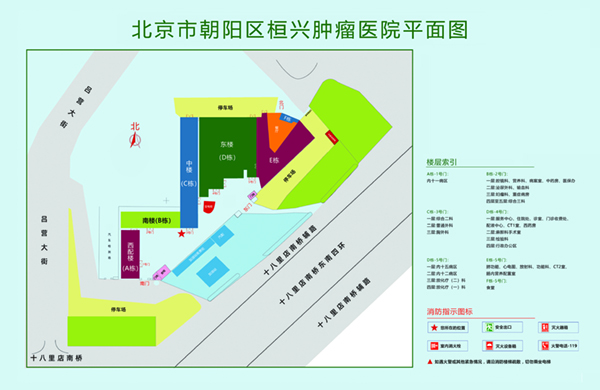 老头操老太太馒头逼视频北京市朝阳区桓兴肿瘤医院平面图